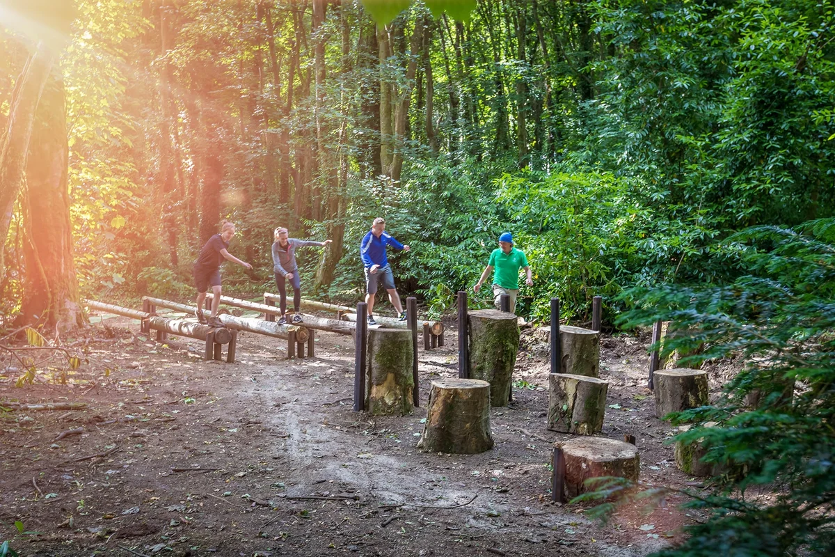 Project Ambiance Image